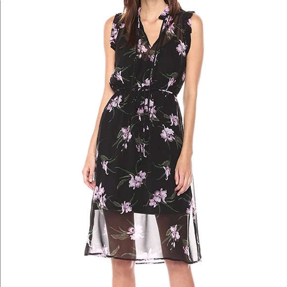 NWT BB Dakota Sarah Sheer Floral Ruffle Dress XS - Picture 4 of 16